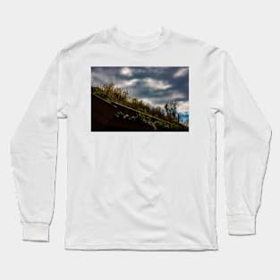 My Garden My Roof Long Sleeve T-Shirt